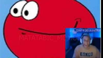 momo se rie del momo red bol