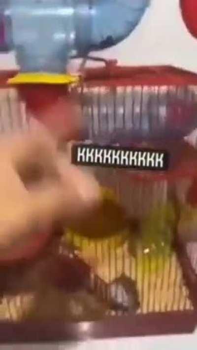 Para comer a casa seu buseta