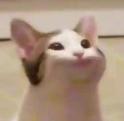 hope this hasn’t been done before