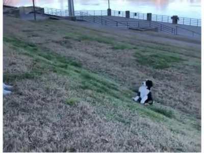 This whole gravity thing sucks