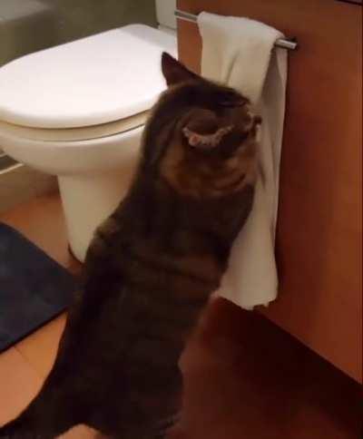 Standard Issue Beauty Routine