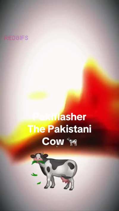 What u think about a Pakistani cow