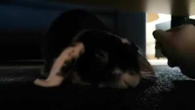 Jeroen loves his cuddles. <3