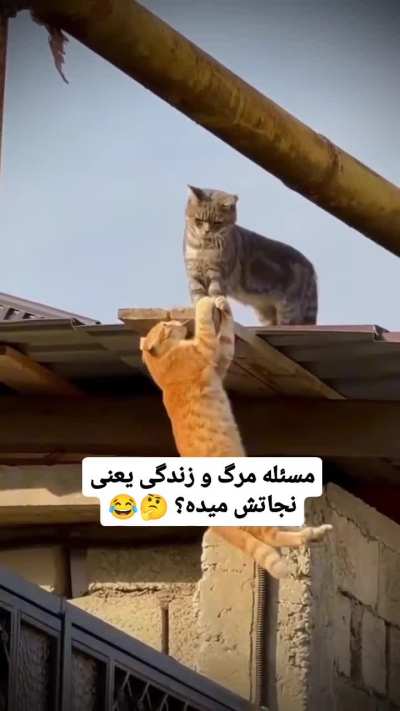 خیلی صحنه احساسی فقط آخرش 😂😂😂