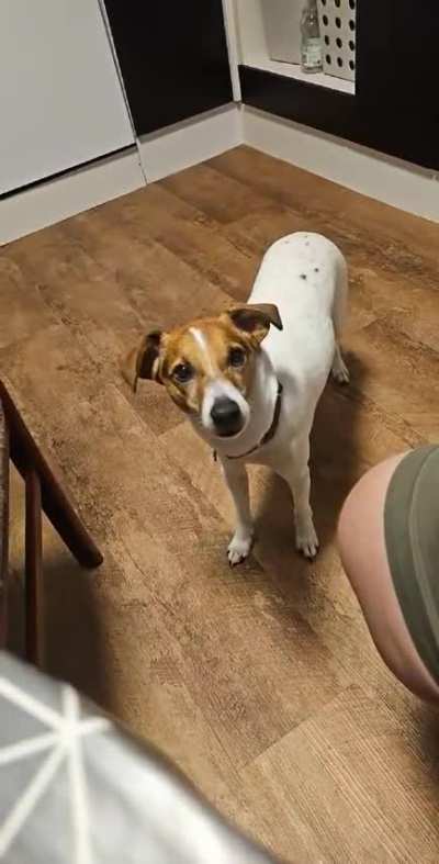 I think he accidentally went into energy saving mode.