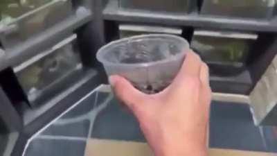 when I saw it for the first time I fell out of my chair. -_-