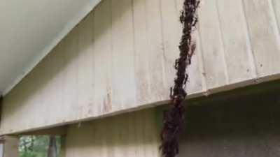 What The Fuck Is Happening!