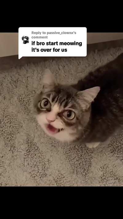 Winky wunker meowed it's over for us