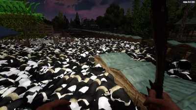 DF Cowpocalypse incident or why my friend is no longer allowed to practice animal husbandry...