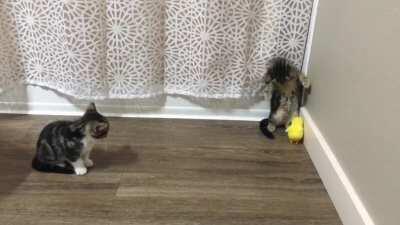 There’s no escape!