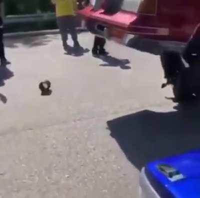 Машина эволюционирует