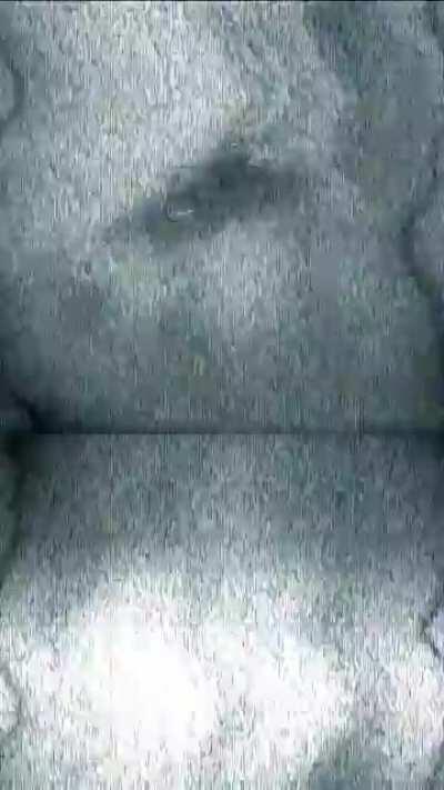 NONNN !!!!! Pzl dnot glo!11