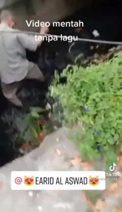 On this week's episode of cat rescuing.