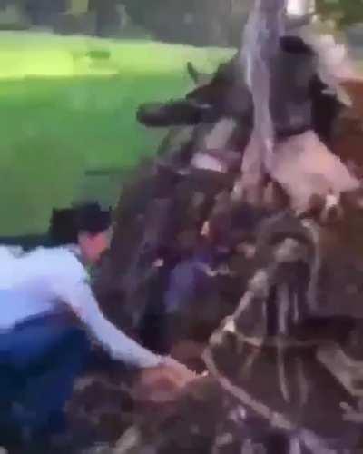 Could this be faked!(!