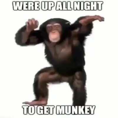we're up all night to get munkey