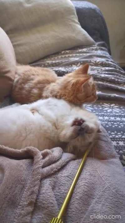 Feels so good that she passed out