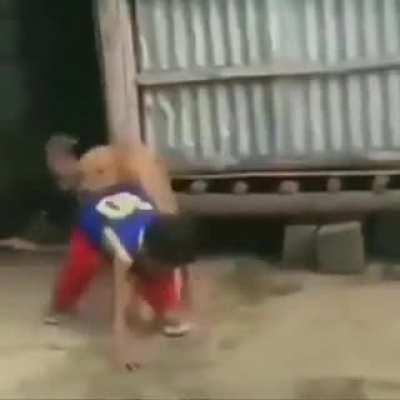 MoaiGreddit - Video #1431