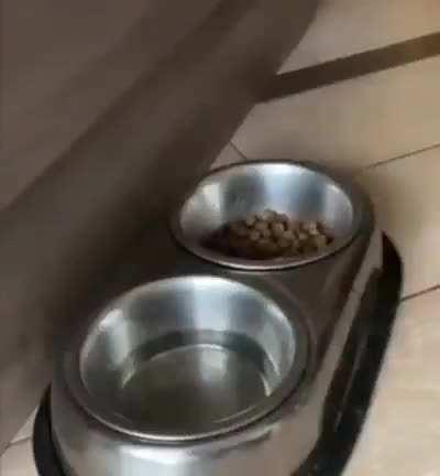 He's trying his best