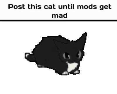 Roses are red, moderation here is bad