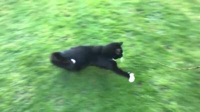 Catculating velocity and trajectory.... Target locked!