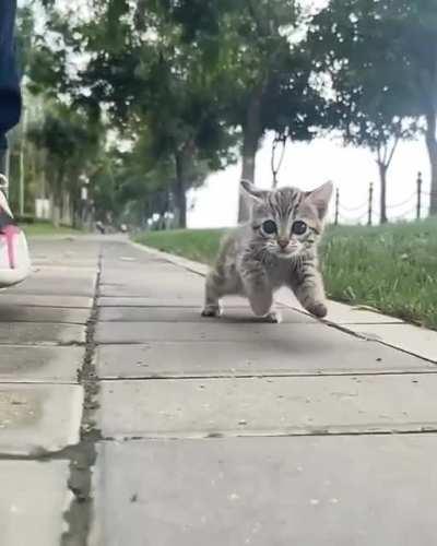 I was told this might belong here.