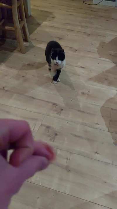 She really does not want to go outside anymore