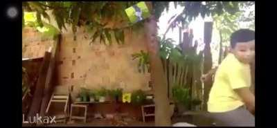 Increíbles artes marciales