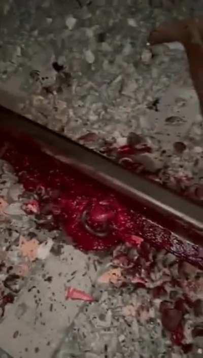 Train accident(?) in Brazil