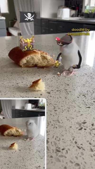 🏴‍☠️ NO BOOTY TOUCHING 🏴‍☠️