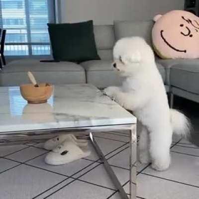 She is so cute and playful