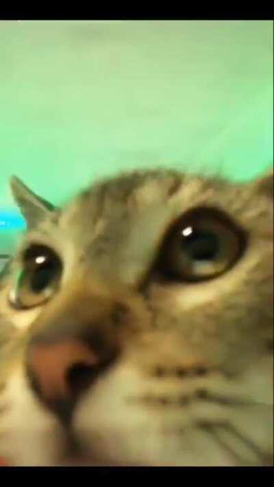 bo2 zombis alto juego