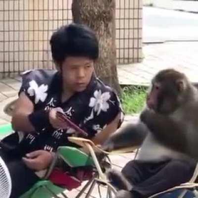 Live footage of two spotted WSB redditors seen in real life discussing the GME situation... 🦧