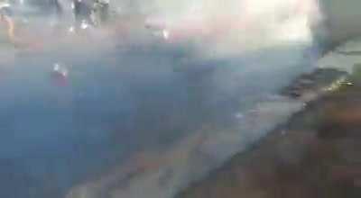 When you aren't afraid of a car coming towards you