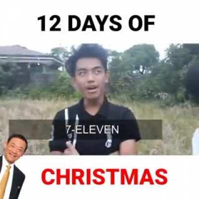 12 days of Christmas parody (late post)