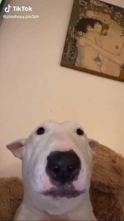 Walter with da wink tho🥴