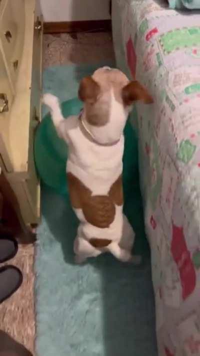 You're coming with me bally!