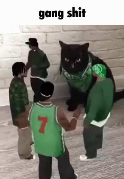gang shit