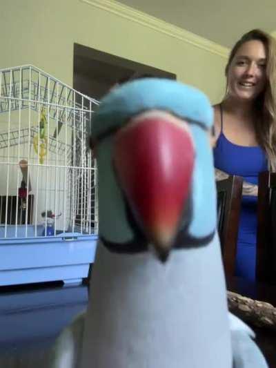 yes i have been a very good baby