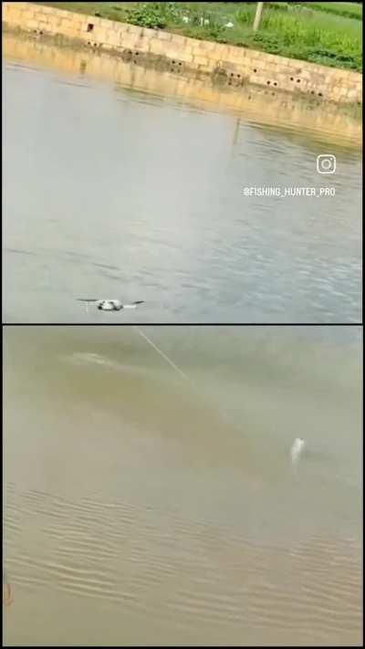 Fishing with a drone