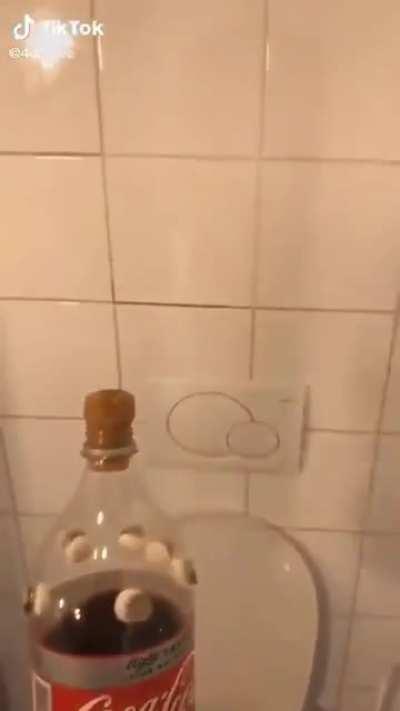 Abrupt toilet adventure