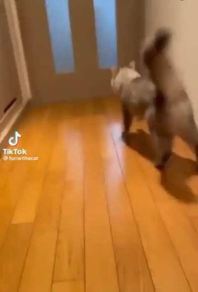 The double twinkle toe