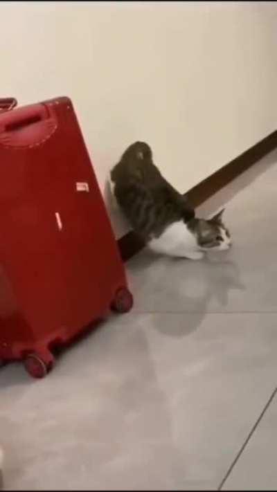 To achieve the speed of light