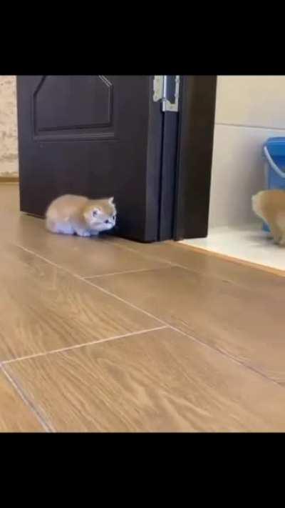 ....to sneak away without being noticed