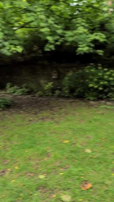 Are my tits big enough or should I get them done?