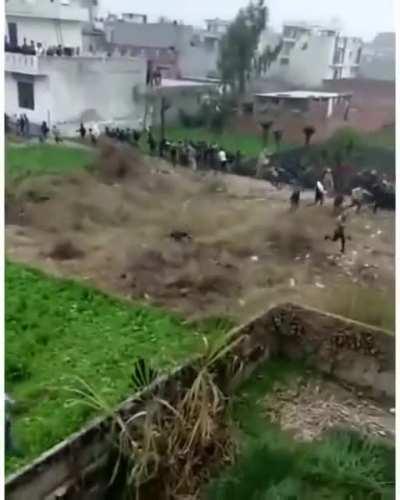 Leopard runs amok in Indian Village