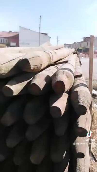 simulasyonda yasiyorum