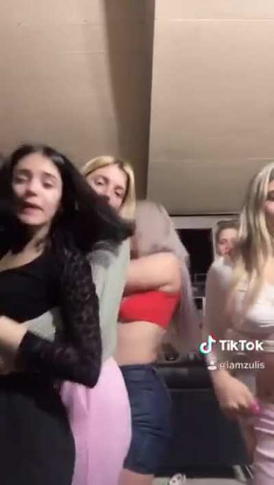Old TikTok