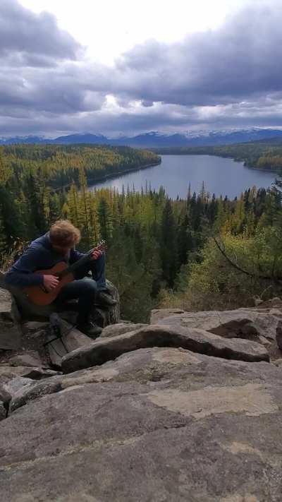 Happy New Year, friends... here is some Magnetic Vines, hope you enjoy <3