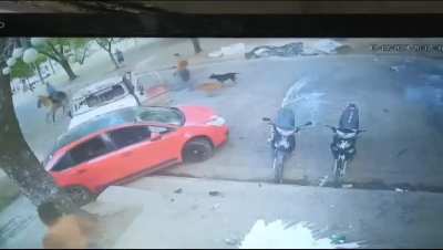 ¿Porque el trapito no hizo nada? ¿Para que le di 1000p?