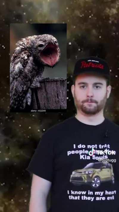 I need a Goober Fox in my life